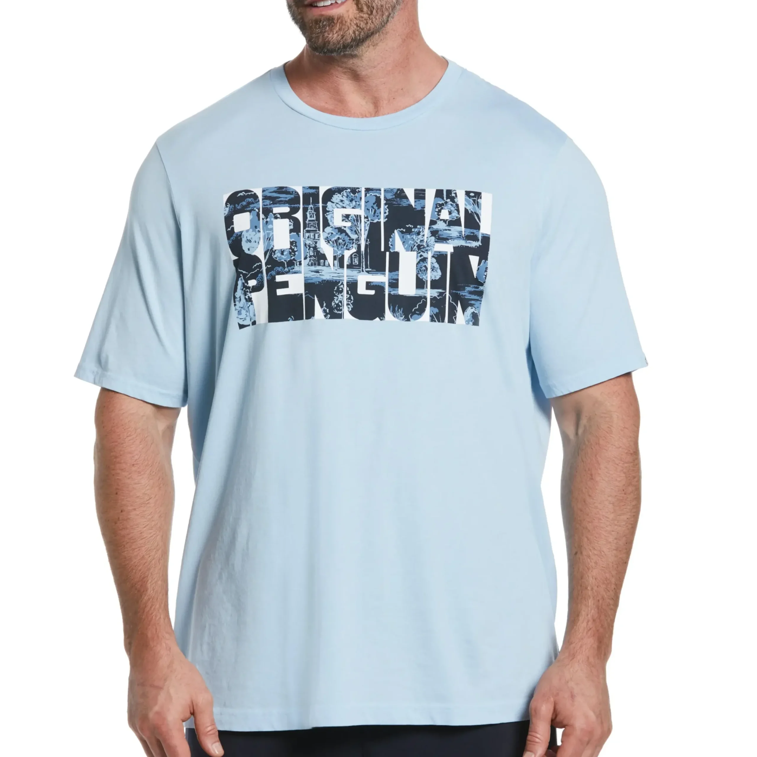 Big & Tall Cotton Jersey Graphic Tee