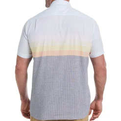 Big & Tall Engineered Stripe Shirt
