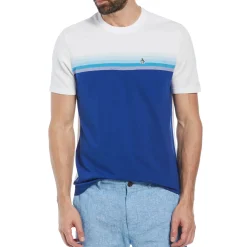 Birdseye Stripe Color Block Tee