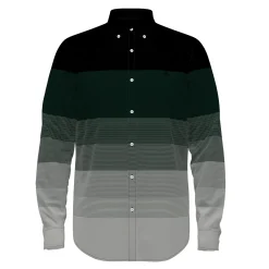 Ombre Stripe Oxford Shirt